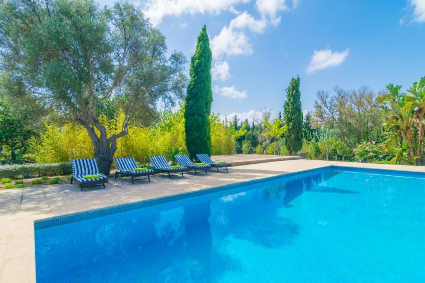 Finca Canyamel Beach & Golf - foto 63