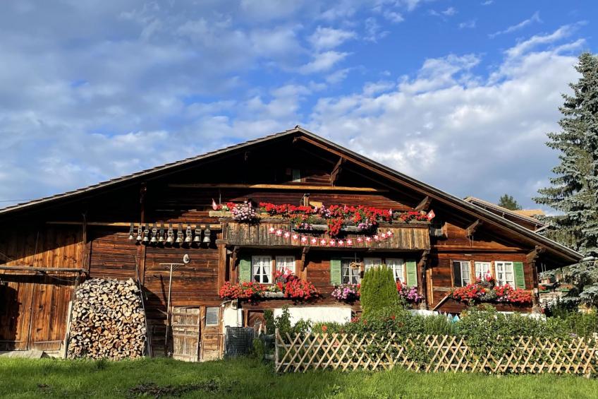 Panoramaferienwohnung Waldkircher Appartement/Fewo - foto 35