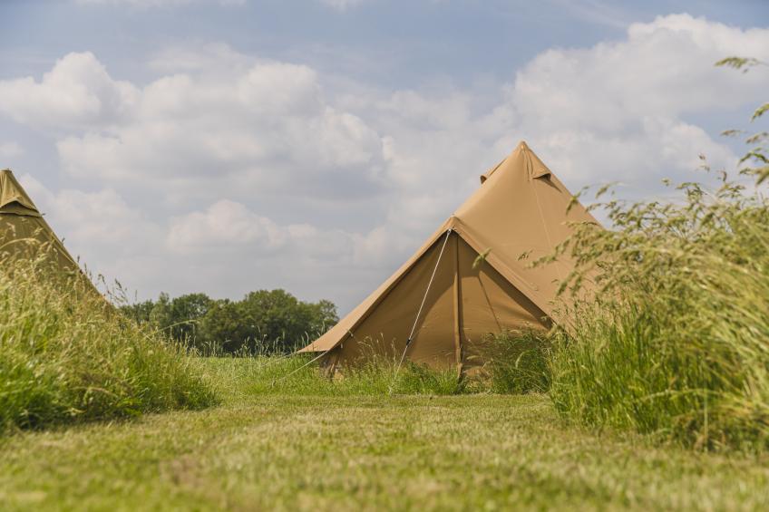 Pop-up glamping: Buurvrouws' Belltentje | 2-4 pers. - foto 12