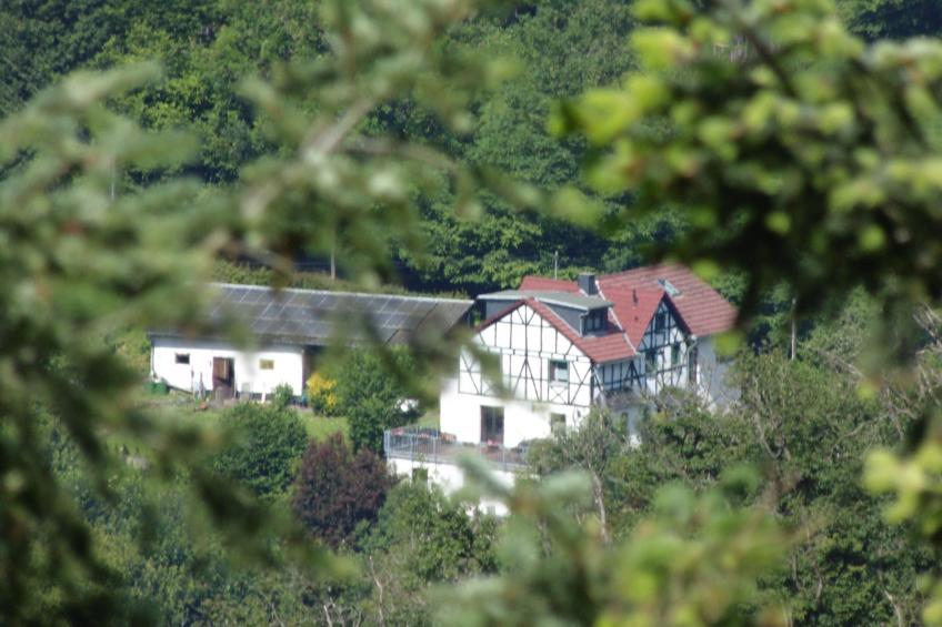 in Waldbreitbach mit Whirlpool