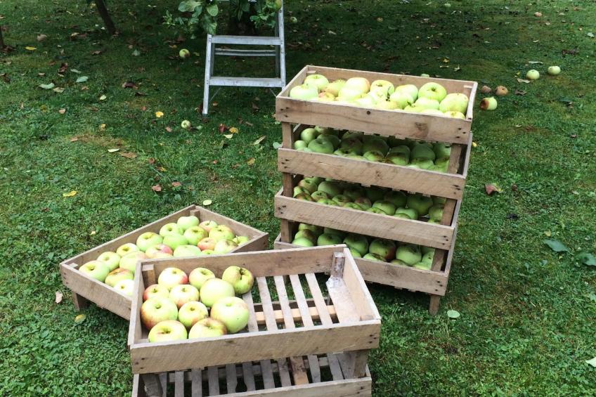 The Water Mill of Tourteron - foto 30