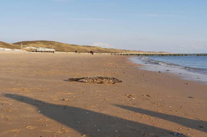 Duinweg 18 - foto 28