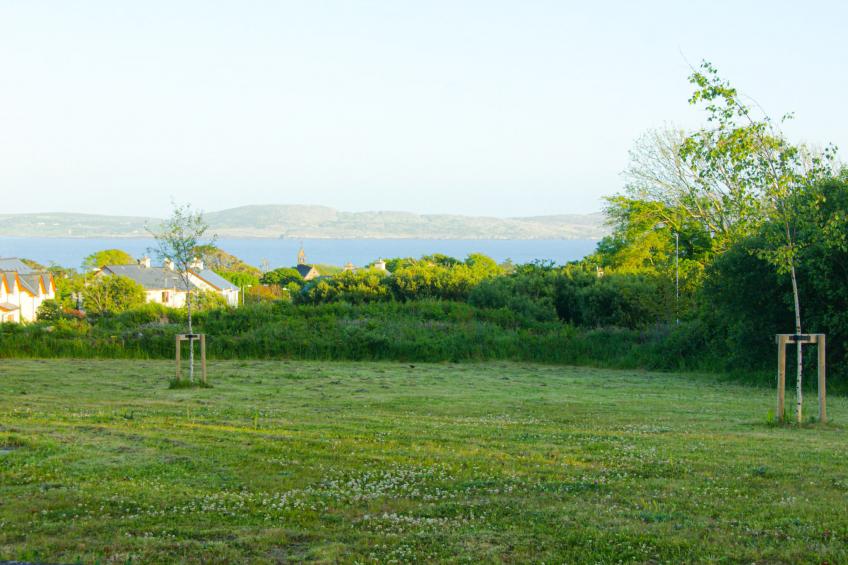 Bell View (TR3) Holiday Home Sheeps Head - foto 22