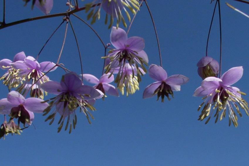 Appartement mit Wallbox - foto 46