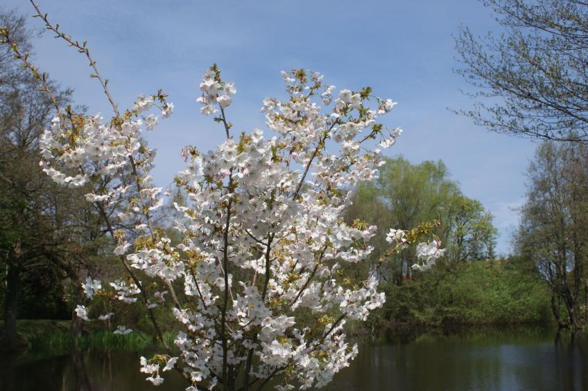 Meeresdorf Stille - Ferienhäuser in den Gärten von Magra - foto 35
