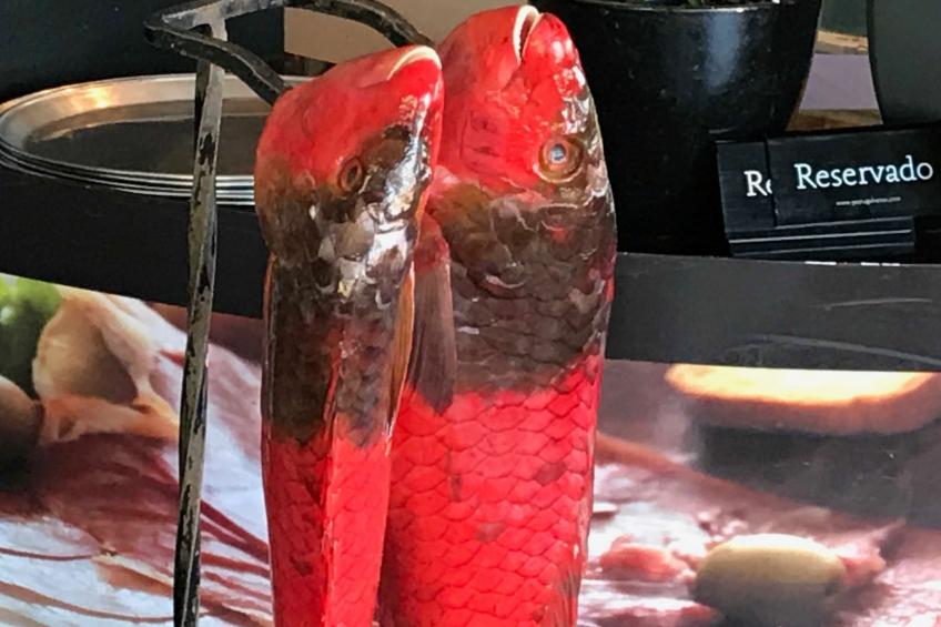 mit Blick auf das Wasser - foto 31