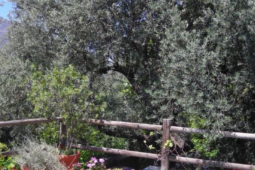 Gemütliches Ferienhaus in Tíjola mit Grill, Garten und Terrasse - foto 20