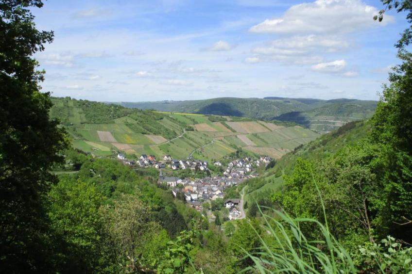 am Bach - foto 27