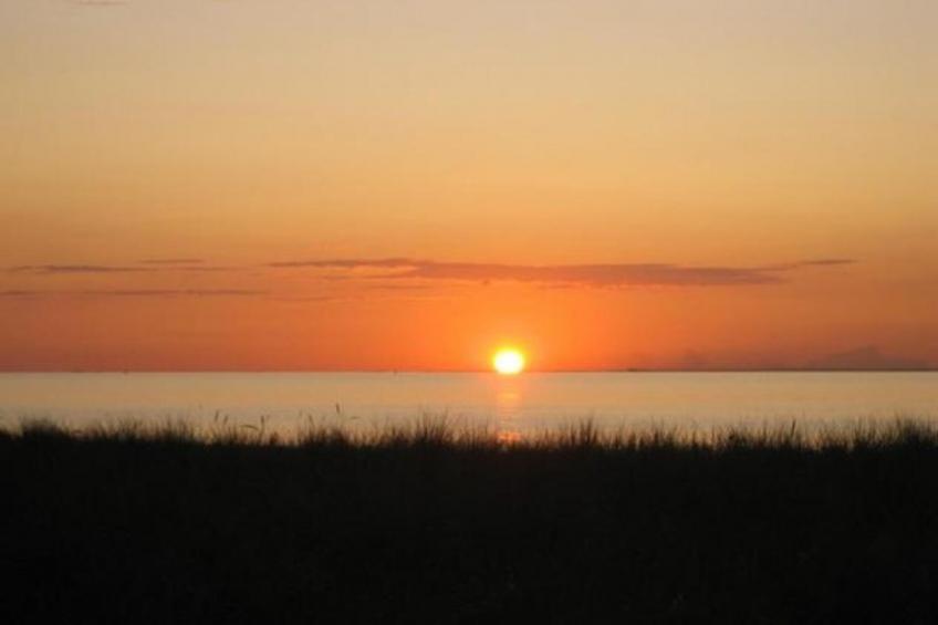 Gartenblick 1 - foto 36