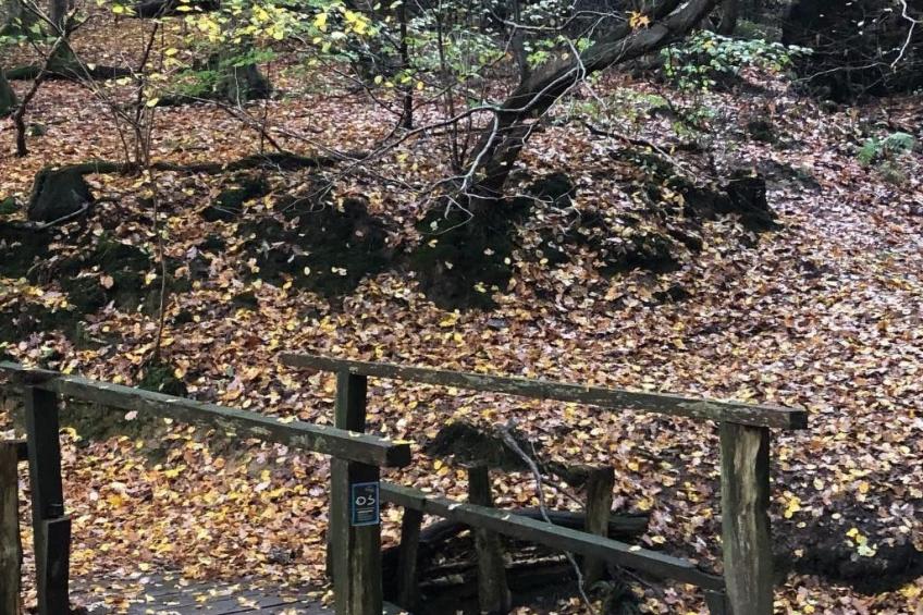 Gartenblick - foto 35