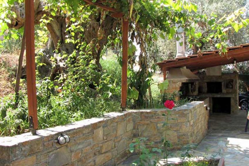 Niki Studios 2 - foto 16