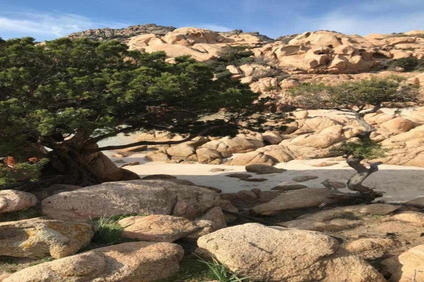 Bilo Caraibi 2 - foto 20