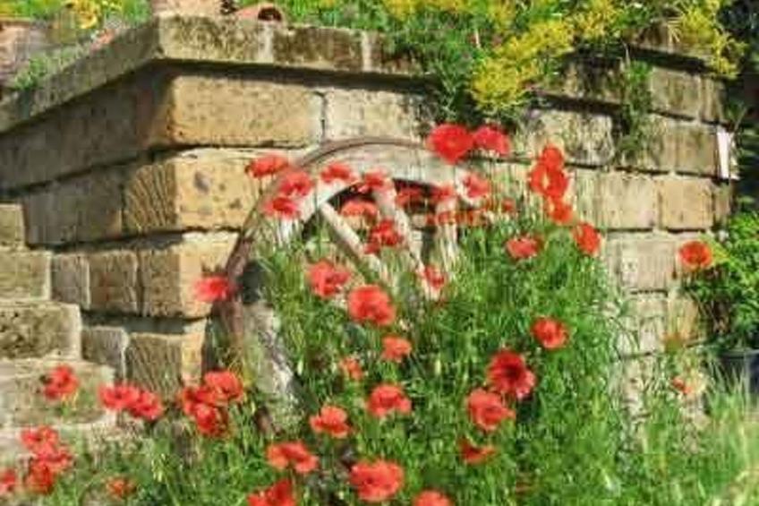 Casa Desiderio - foto 21