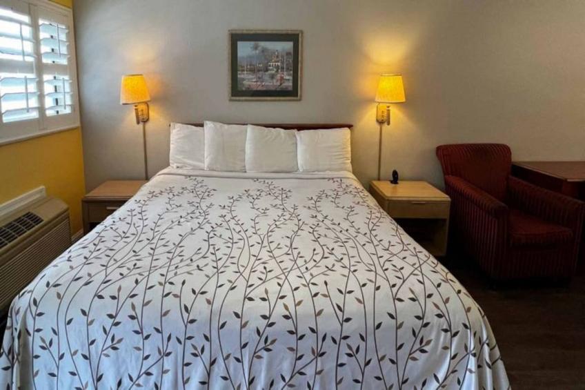 1 King Bed  Non-Smoking - foto 3