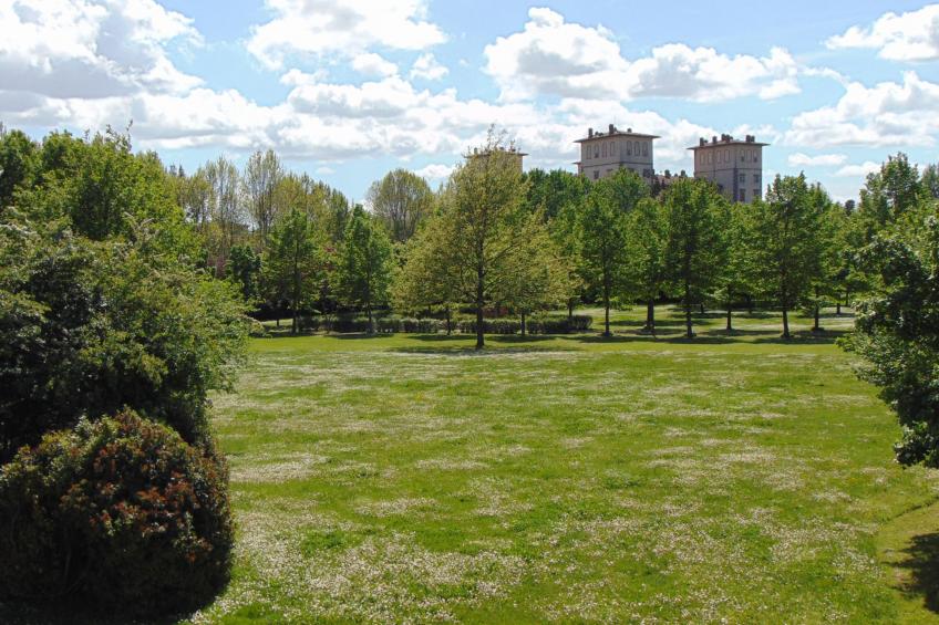 Antinoro 2 - foto 27