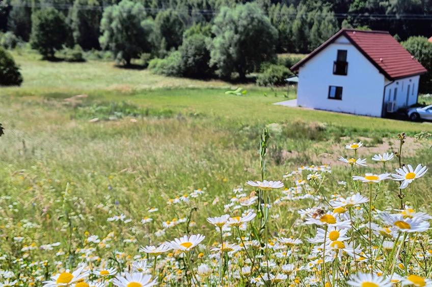 Vogelecke - abseits des Trubels und der Hektik - foto 40