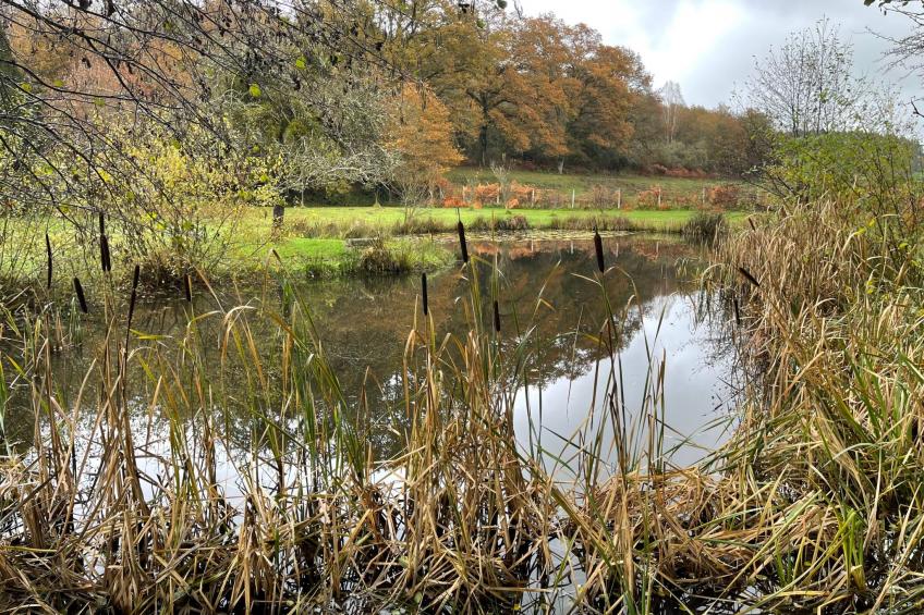 für 6 Pers. mit eigenem Teich - foto 23