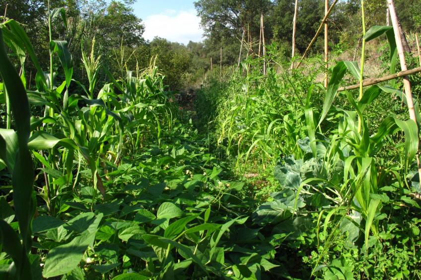 mit privatem Pool in üppiger Umgebung - foto 13