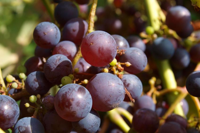 Le Château d'Eau - foto 40