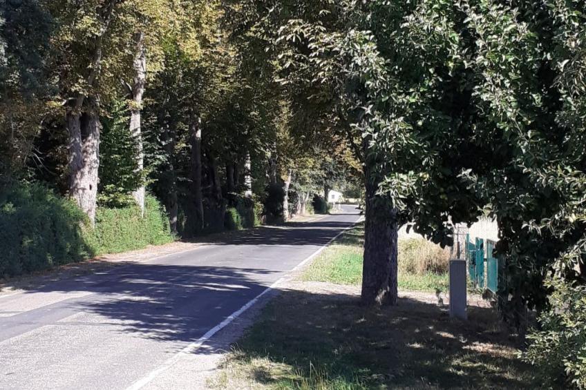 Appartement in Buchenhain mit Großem Garten - foto 23