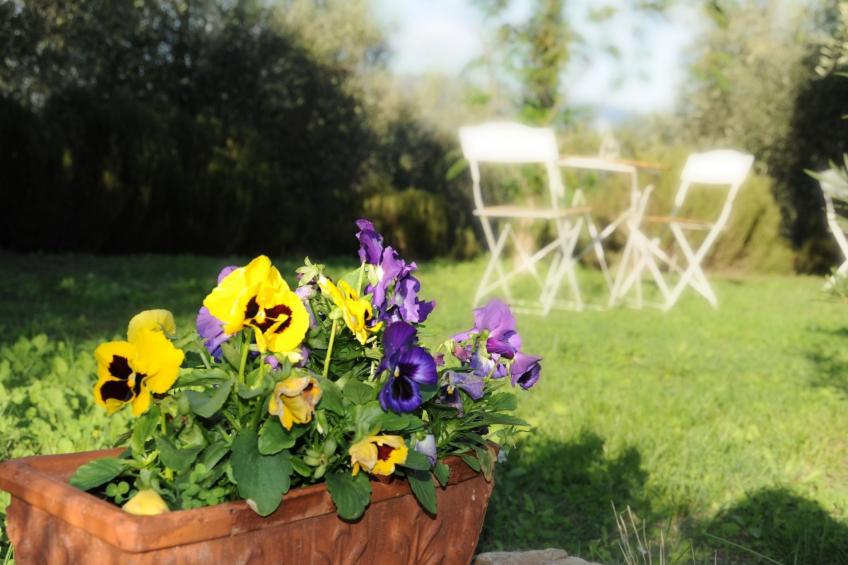 Wohnung im Agrotourismus in Bevagna - foto 18