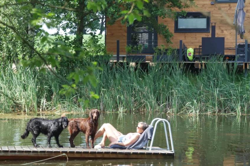 TH1 4P+20€(5) Immer - foto 10