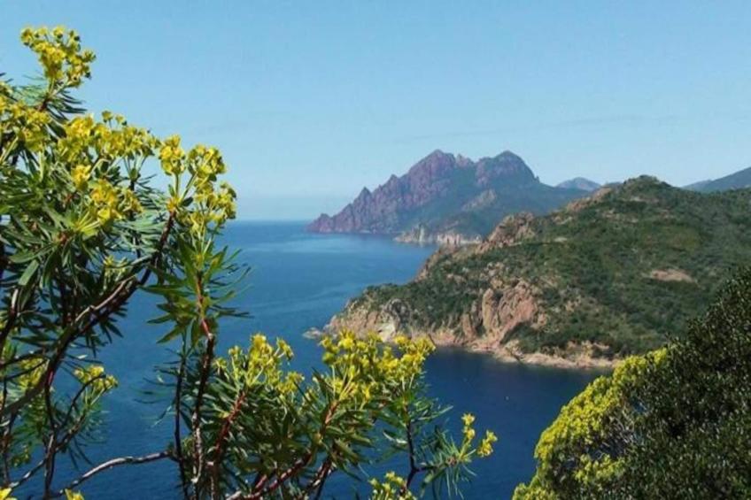 Les Nereides - foto 32