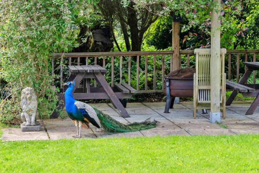 Trimstone Manor - Mill Cottage - foto 4