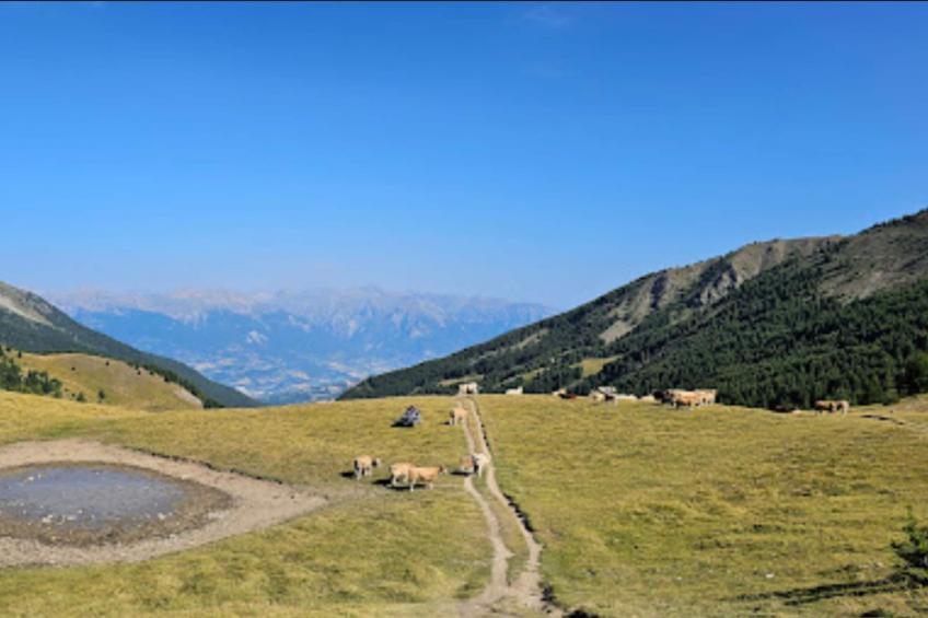 Résidence Le Balcon Des Airelles - foto 24