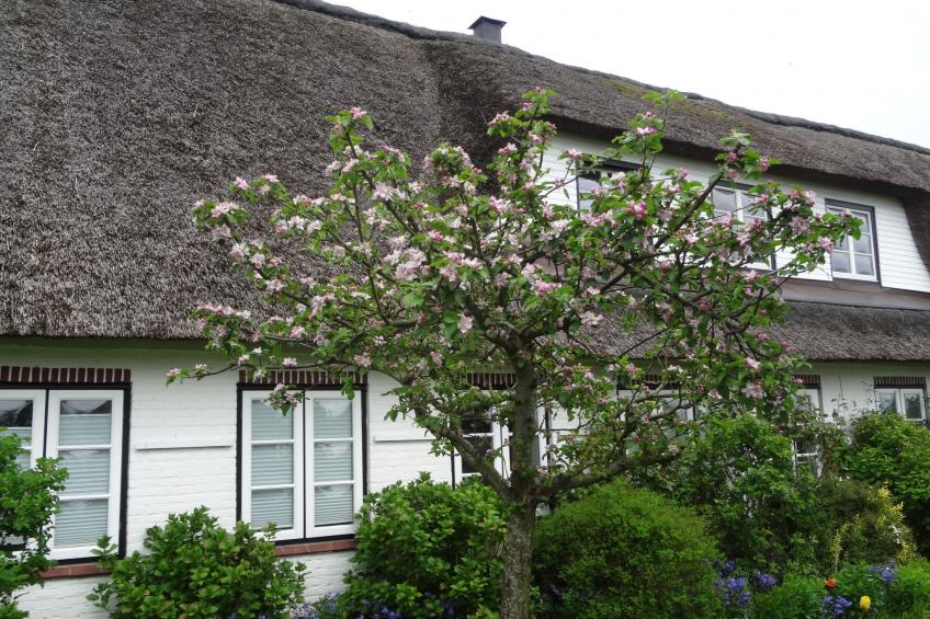 Geltinger Bucht - foto 33