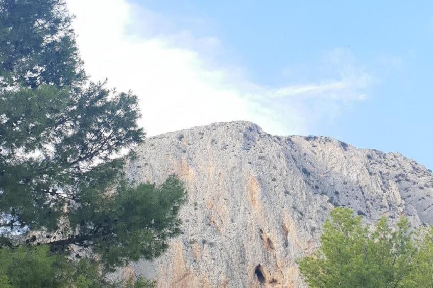 Das Lotus-Haus - foto 55