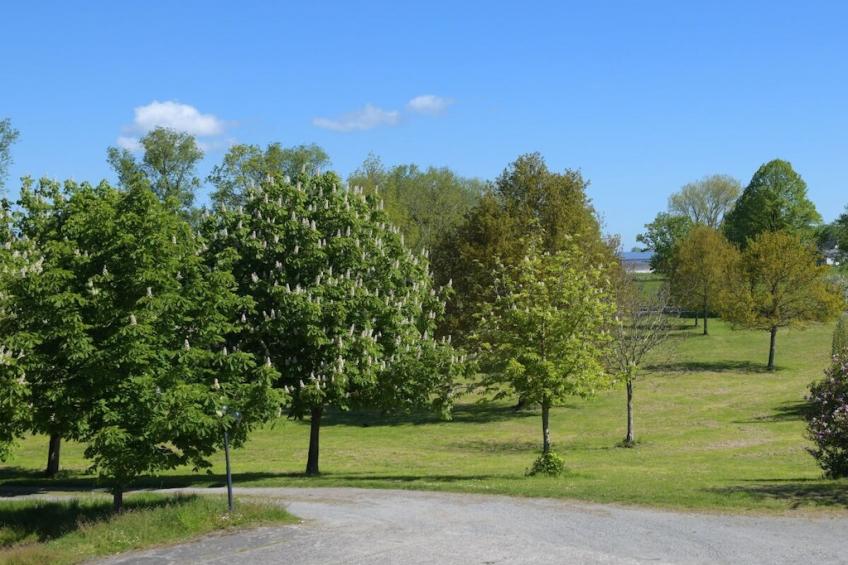 269109 - foto 2