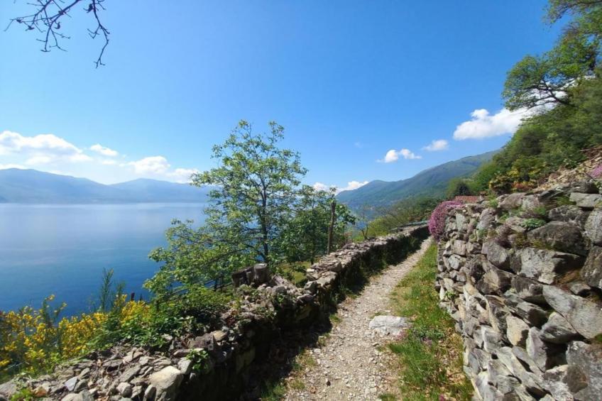 Vigneto E 24 - 6 pax - foto 26
