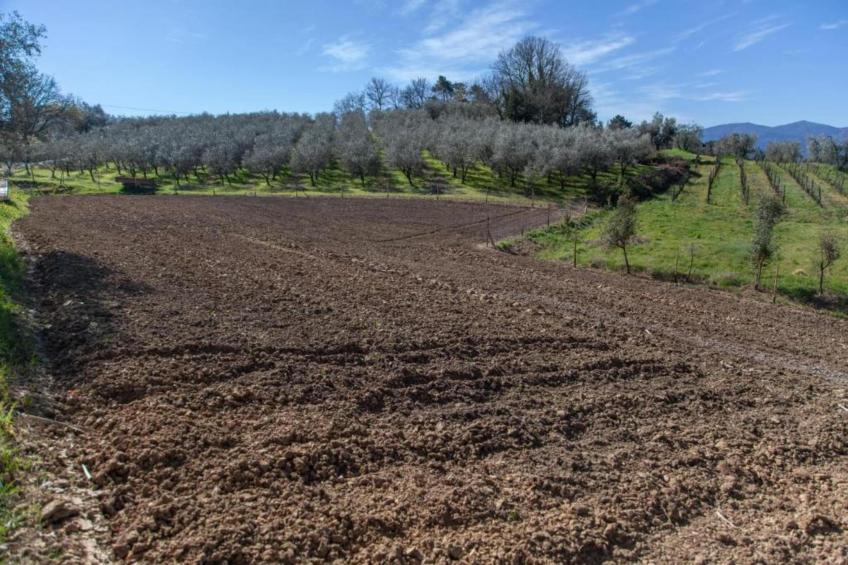 San Michele - foto 37