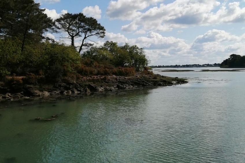 Bretagne Loctudy Haus Les Camélias 3 Personen - foto 42