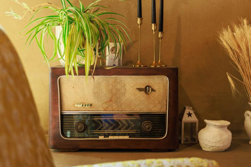 House Biljkinog oca - foto 36