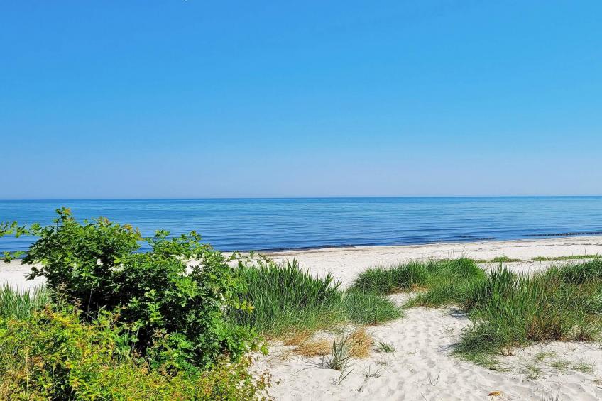 FUGLEKONGEN - foto 43