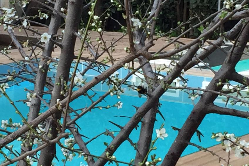 Sunny Rhodes Villa - foto 37