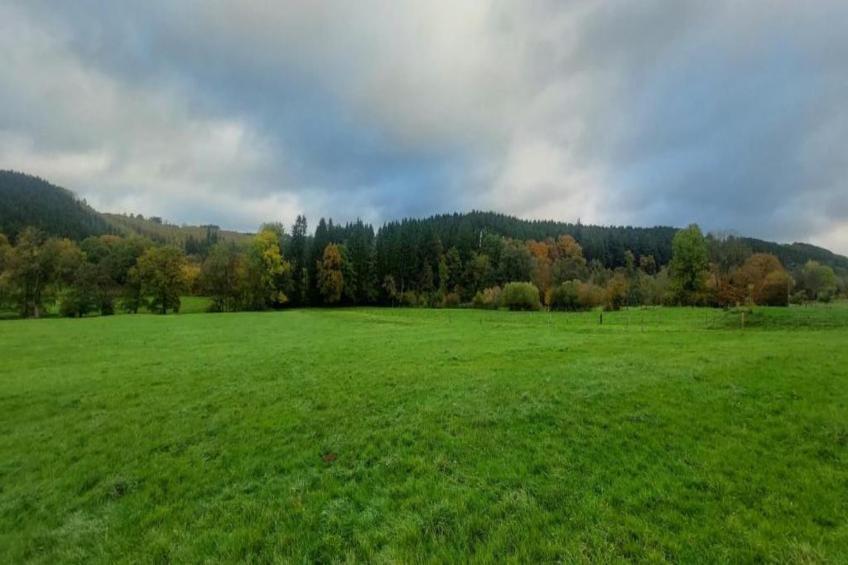 La Bressine - foto 43