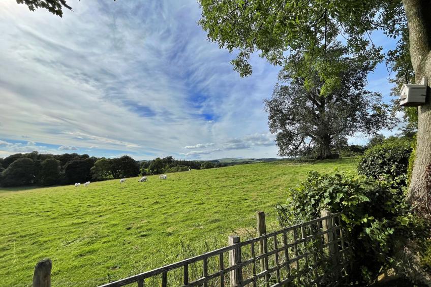 Ivy Cottage - foto 4