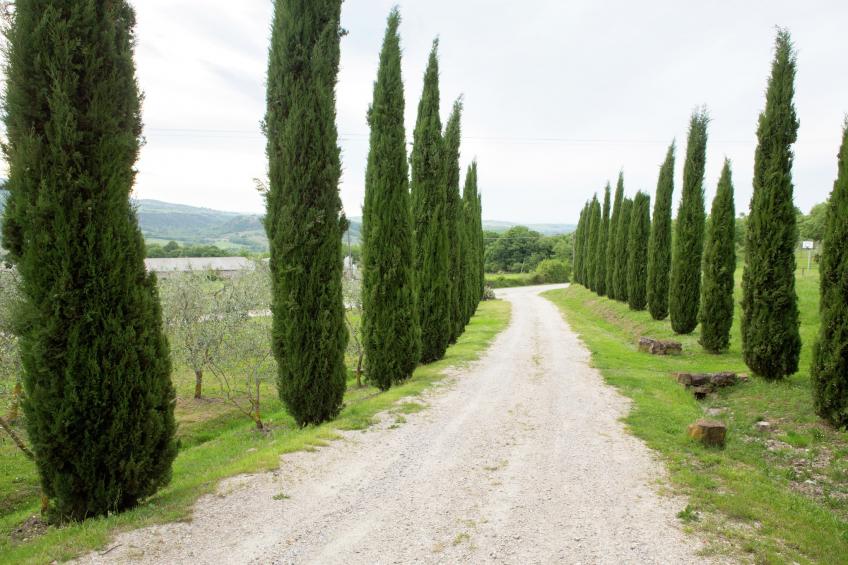 Casa Tiglio - foto 40