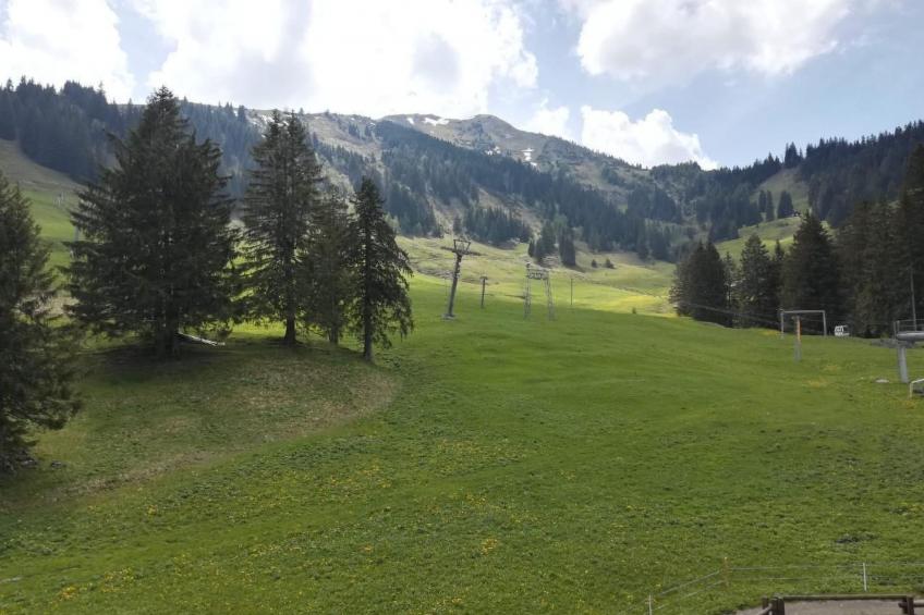 2-Zimmerwohnung Mörlialp im Wander- und Skigebiet - foto 12