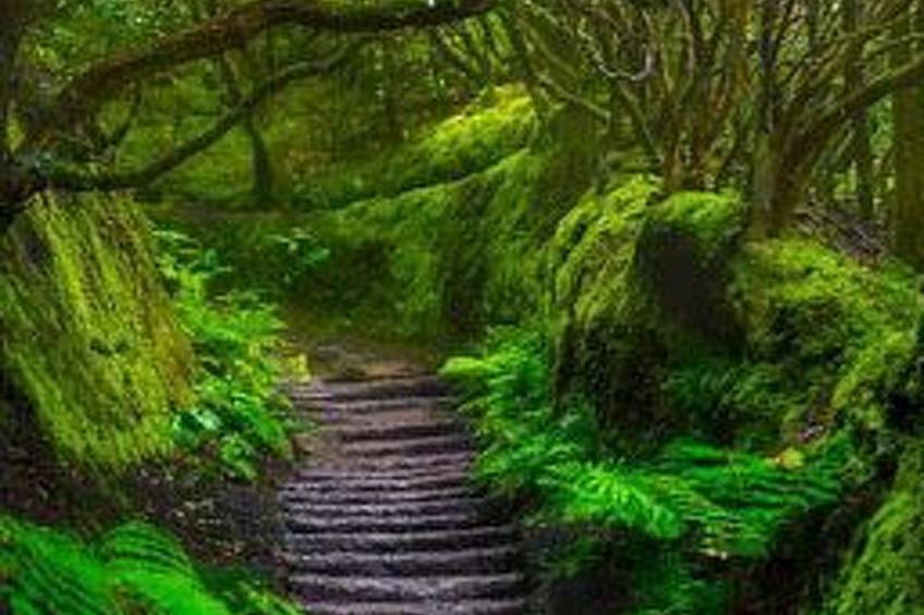 schöne Wohnung Radazul Meerblick - foto 43