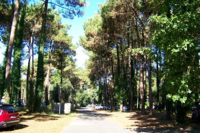 Hübsches kleines Haus in ruhiger Lage in einer baumbestandenen Residenz mit beh - foto 19