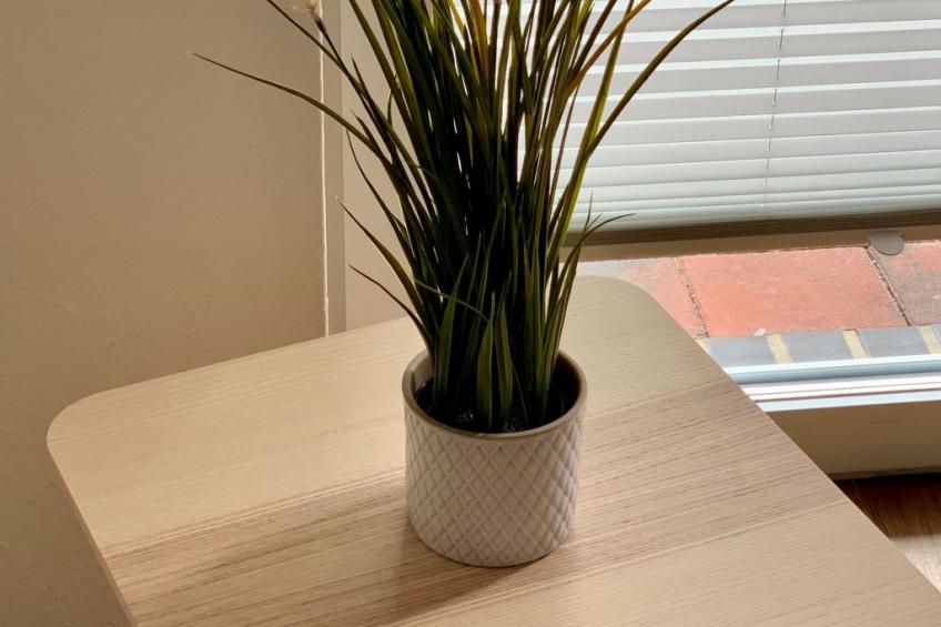 "Hasel" Barrierefrei mit Fahrstuhl direkt am Stausee - foto 4