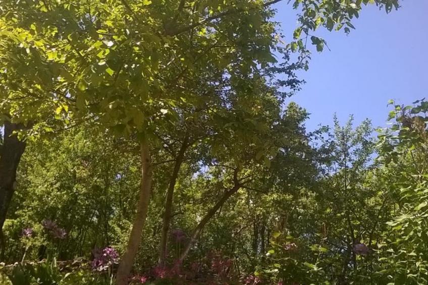 in der Nähe des Meeres und des Sees - foto 19