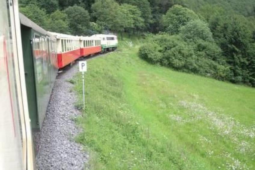 Am Waldrand - foto 27