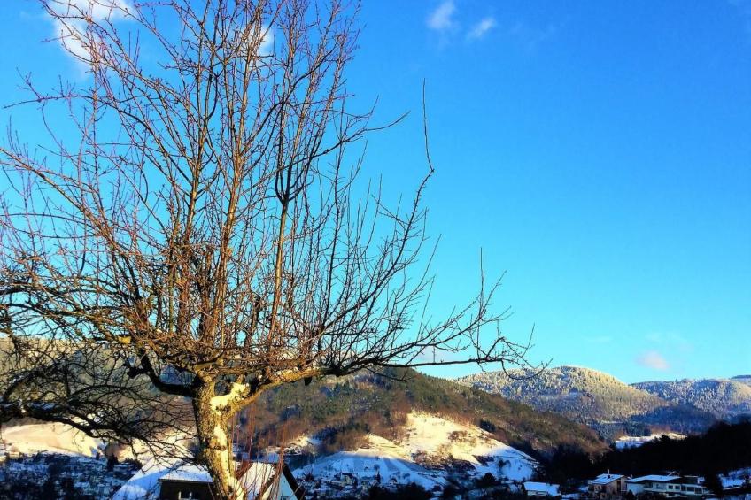 Traumwohnung - foto 61