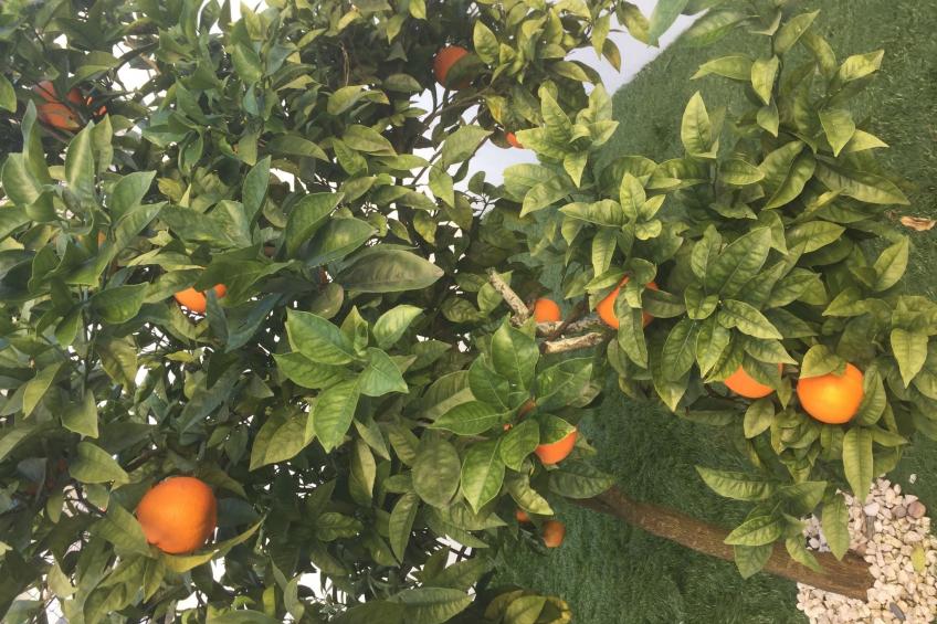 Villa "Vivenda Vila Nova" - foto 17