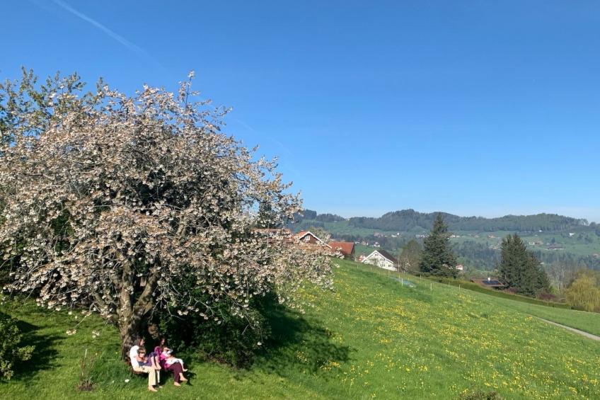 See in Sicht - foto 23